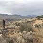 Kirkland Ranch Road Desert at Hairpin