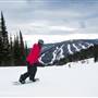 Sun Peaks Resort 200 Ski Runs & Village NOVEMBER 2