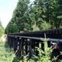 Green Lake Bridge Trestle*