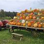 Silver Meadows Pumpkin Patch (seasonal)