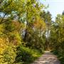 Stanley Park - Bridle Path