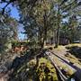 Shawnigan Lake Cabins