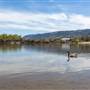 North Thompson River & Beach Schubert Dr.