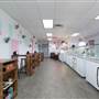 Ice Cream Social