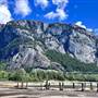 Squamish Log Sort