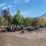 Mt Paul Industrial Area - Lyons Landscaping & Nursery