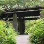 Stanley Park - Pipeline Road & Bridge