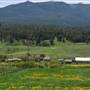 Twin Creeks Ranch (Guest Ranch) in Upper Hat Creek Valley