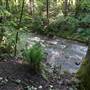 Mosquito Creek Park