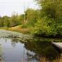 Campbell Valley Regional Park - McLean Pond