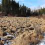 Nimpo Lake Community Trails
