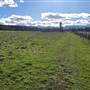 Paradise Acres Fields