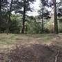 Spuis Creek - East Side Campsite - South of Little Box Canyon