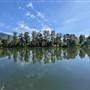 SHUSWAP RIVER MARA