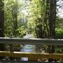 STREET - Marshall Road and Bridge