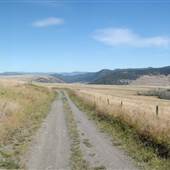 *Jackson Road Grasslands