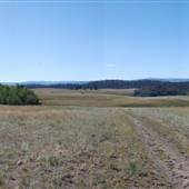 *Upper Nicola Indian Band Coffee Creek area