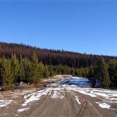 Sawmill Branch Rd #15