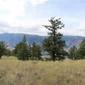 Crows Bar Road & Mid View of Fraser River Canyon
