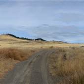 Scheidam Flats - Strawberry Mountain Road and Grasslands (north side)