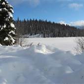 Whitewood Lake WINTER