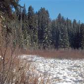 Little Dixon Lake WINTER
