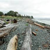 Willow Point Beach