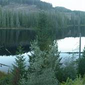 Rooney Lake