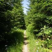 Riley Lake Trail