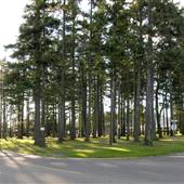 Coronation Crescent Park