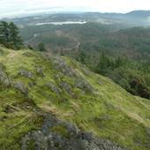 The Foothills Viewpoint