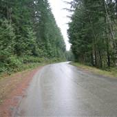Sprusten Road