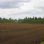 Beck's Dairy Farm