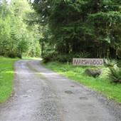 Marshwood Estate Winery (Marshwood Estate Driveway)