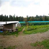 Nature's Way Farm