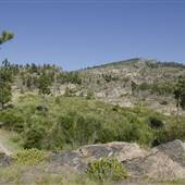 PENTICTON WILTSE PROPERTY