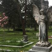 Ross Bay Cemetery