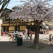 Fernwood Square