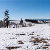 FP Ranch and Ranchland