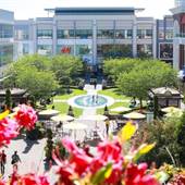Uptown Square