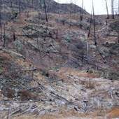 Greenstone Mountain Quarry & Grasslands EARLY SPRING