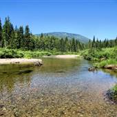 Fennell Creek into North Barriere Lake (June)