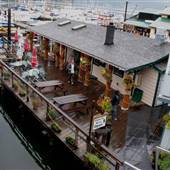 Seahorses Cafe