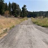 Robbins Creek Road and CN Crossing