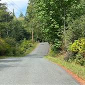 Quadra Island roads, trees and scenes