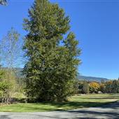 Coleman Property