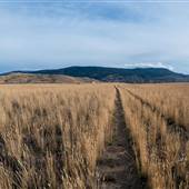 Skeetchestn Big Sky - West Field and Lookout to River