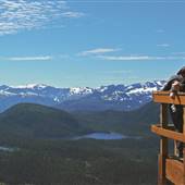 Mount Washington Lookouts