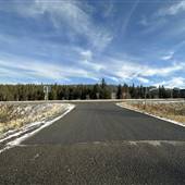 Hamilton Hill Road - FALL