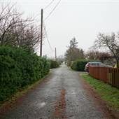 Campbell River Back Alley #4